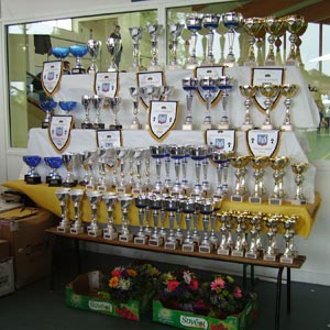 coupes et trophes des championnats de bretagne &agrave; Questembert